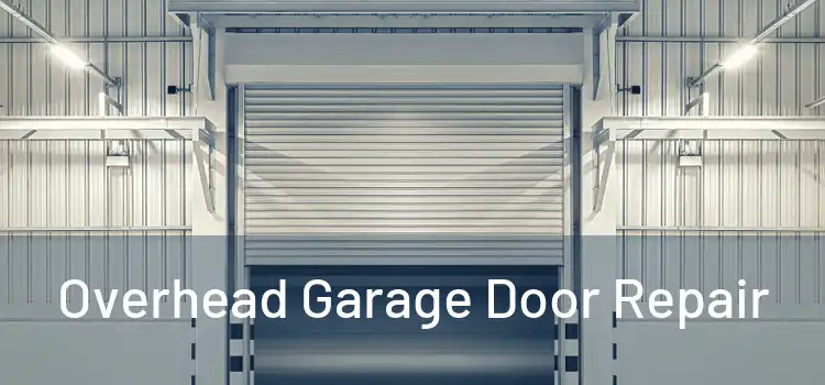  Overhead Garage Door Repair 